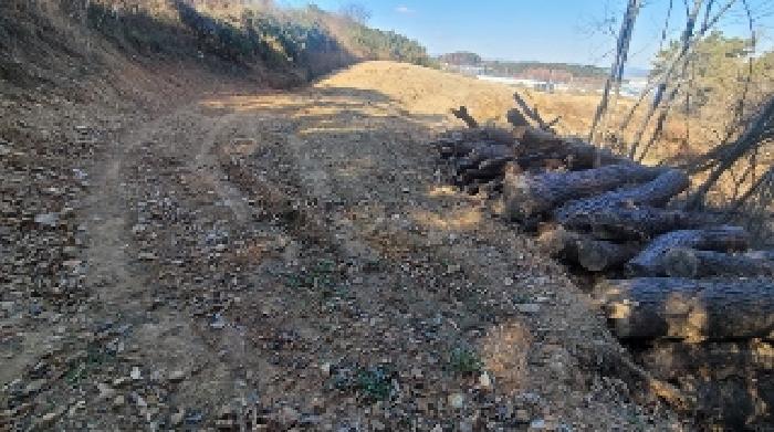 경상남도 함안군 가야읍 가야리 379 외 8필지 전 경매 사진 1