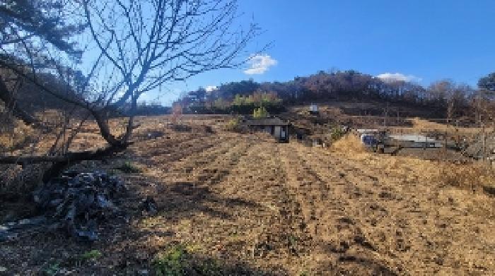 경상남도 함안군 가야읍 가야리 379 외 8필지 전 경매 사진 11