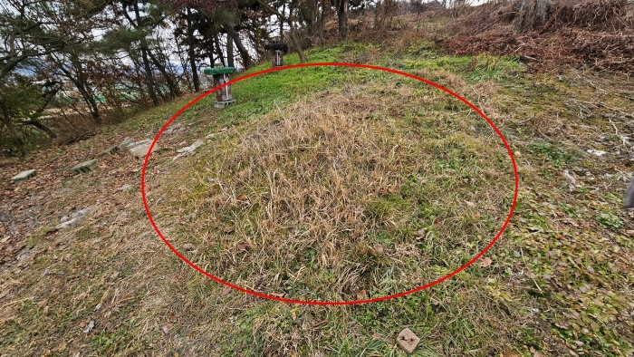경상남도 함안군 가야읍 가야리 379 외 8필지 전 경매 사진 21