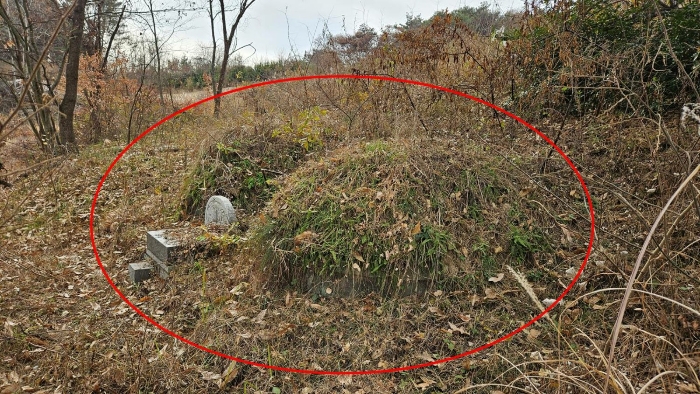 경상남도 함안군 가야읍 가야리 379 외 8필지 전 경매 사진 31
