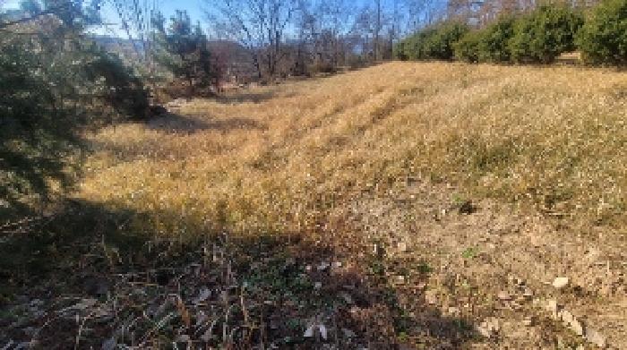 경상남도 함안군 군북면 장지리 43-1 외 2필지 전 경매 사진 2