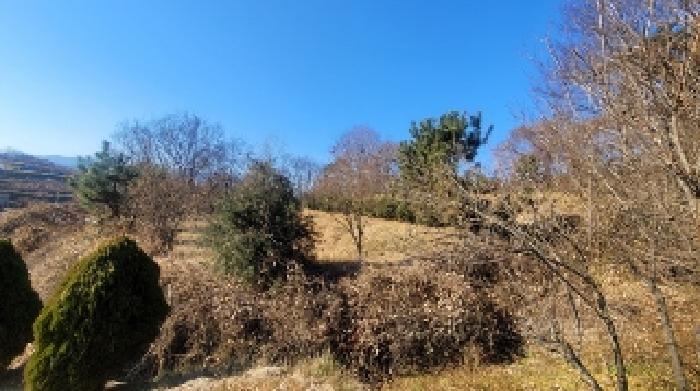 경상남도 함안군 군북면 장지리 43-1 외 2필지 전 경매 사진 4