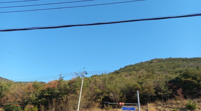 경상남도 거제시 연초면 한내리 산122-2 임야 경매 사진 11