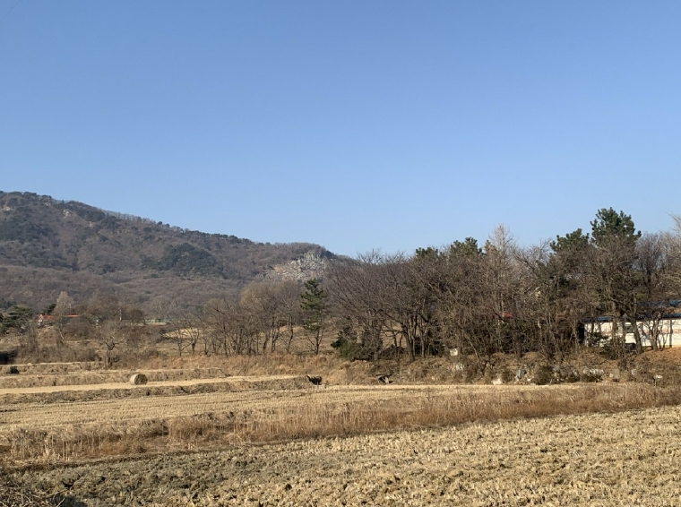 인천광역시 강화군 불은면 삼성리 438 외 2필지 전 경매 사진 3