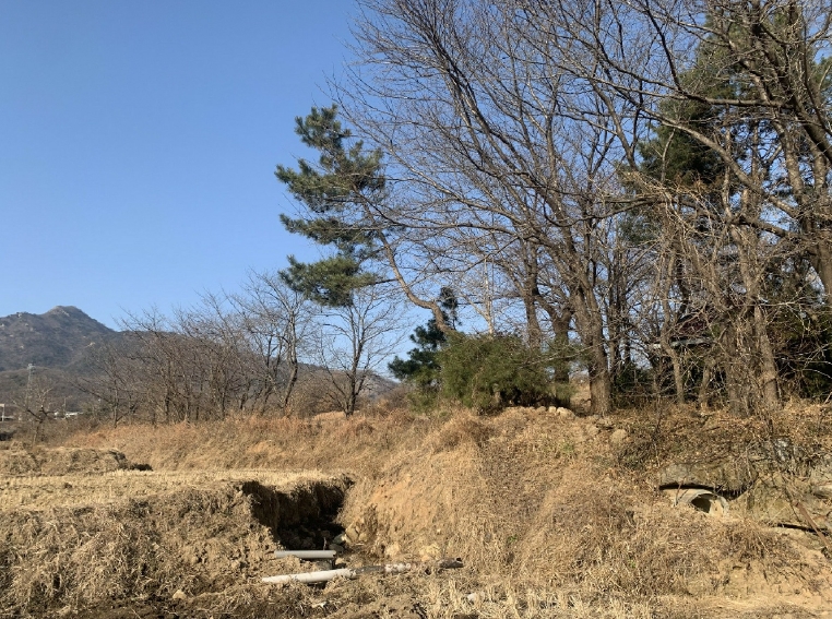 인천광역시 강화군 불은면 삼성리 438 외 2필지 전 경매 사진 4