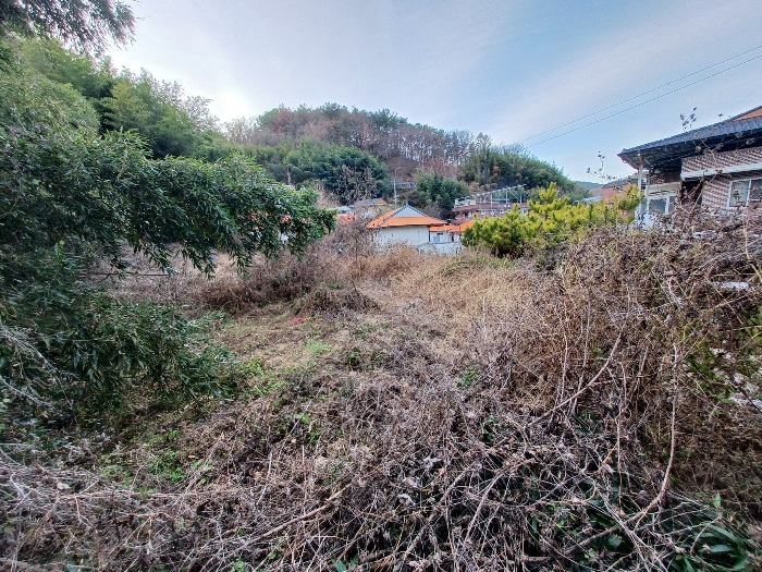 경상남도 진주시 장재동 442 대지 경매 사진 20