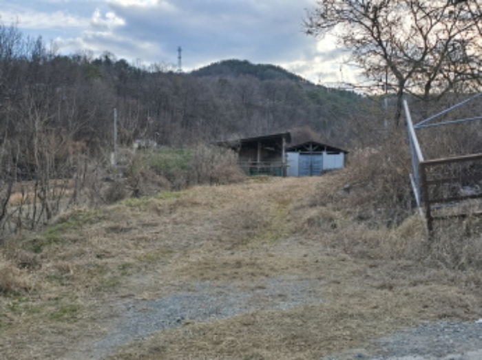 경상남도 합천군 삼가면 소오리 238 전 경매 사진 21