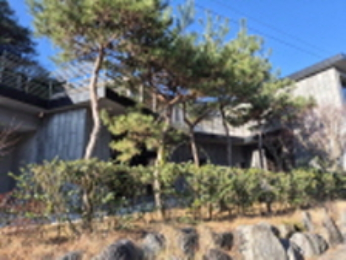 광주광역시 북구 망월동 244 주택 경매 사진 20