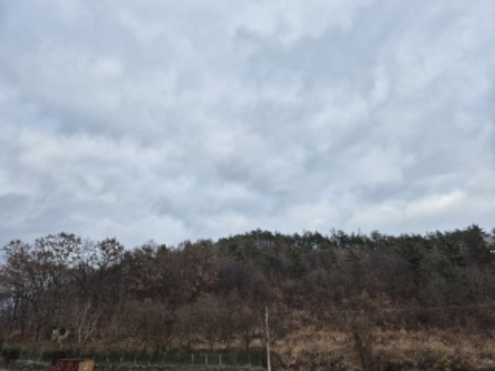 전라남도 화순군 도곡면 죽청리 산15-23 임야 경매 사진 13