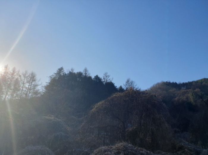 경기도 가평군 가평읍 개곡리 산206 임야 경매 사진 1