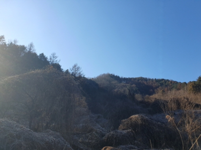 경기도 가평군 가평읍 개곡리 산206 임야 경매 사진 2