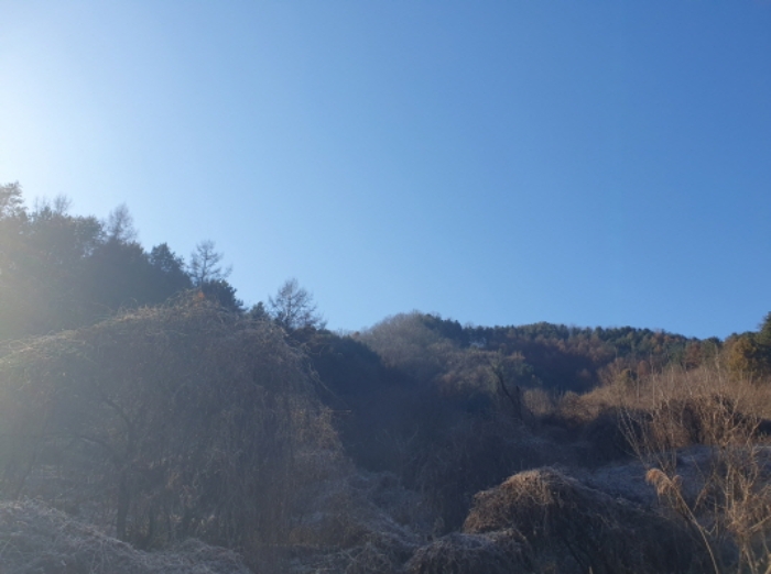 경기도 가평군 가평읍 개곡리 산206 임야 경매 사진 3