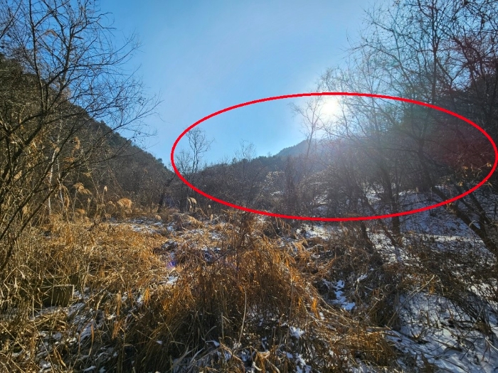 경기도 가평군 가평읍 개곡리 산206 임야 경매 사진 6