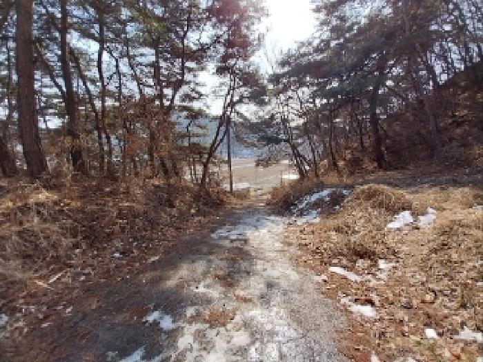 충청남도 공주시 유구읍 석남리 25-5 외 10필지 임야 경매 사진 1