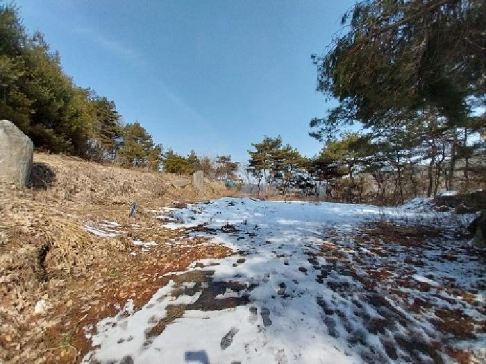 충청남도 공주시 유구읍 석남리 25-5 외 10필지 임야 경매 사진 2