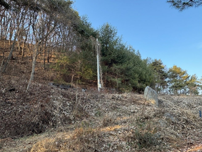 충청남도 공주시 유구읍 석남리 25-5 외 10필지 임야 경매 사진 11