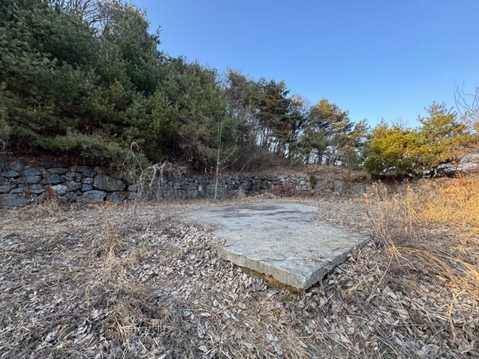 충청남도 공주시 유구읍 석남리 25-5 외 10필지 임야 경매 사진 12