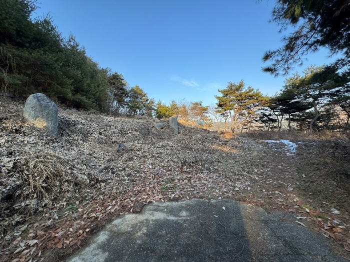 충청남도 공주시 유구읍 석남리 25-5 외 10필지 임야 경매 사진 13