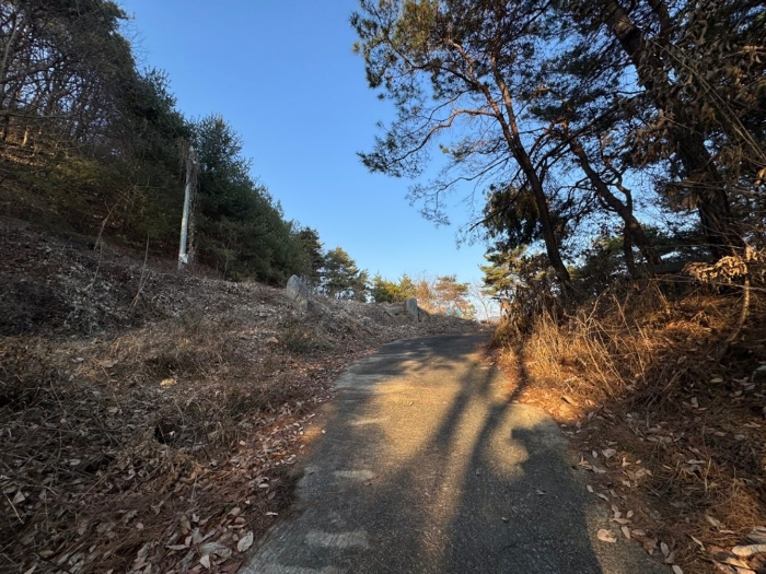 충청남도 공주시 유구읍 석남리 25-5 외 10필지 임야 경매 사진 14