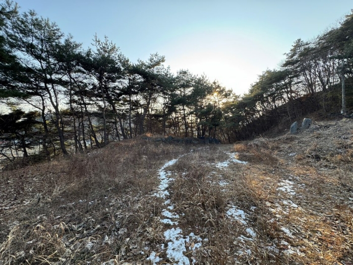 충청남도 공주시 유구읍 석남리 25-5 외 10필지 임야 경매 사진 15