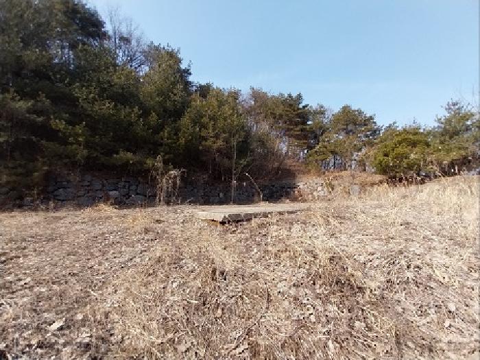 충청남도 공주시 유구읍 석남리 25-5 외 10필지 임야 경매 사진 3