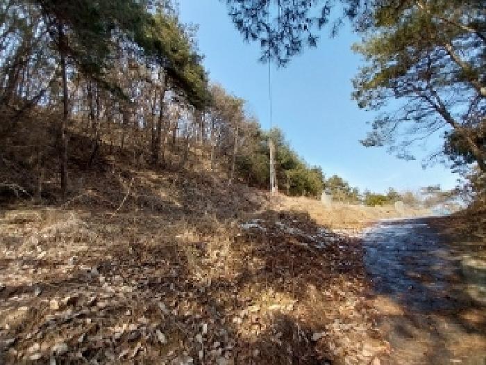 충청남도 공주시 유구읍 석남리 25-5 외 10필지 임야 경매 사진 4
