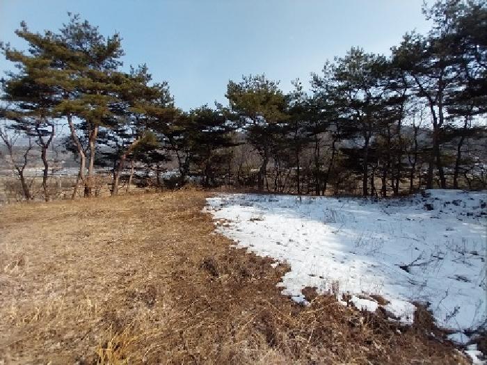 충청남도 공주시 유구읍 석남리 25-5 외 10필지 임야 경매 사진 6