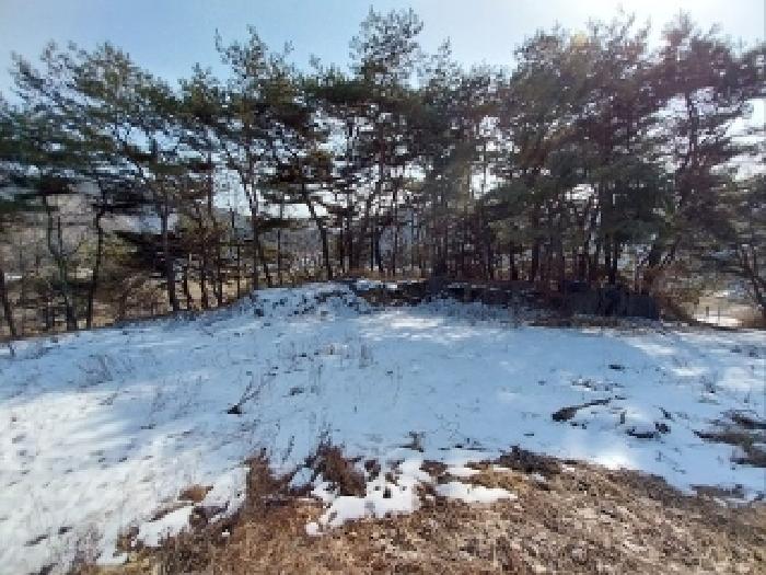 충청남도 공주시 유구읍 석남리 25-5 외 10필지 임야 경매 사진 7