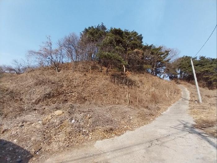충청남도 공주시 유구읍 석남리 25-5 외 10필지 임야 경매 사진 8