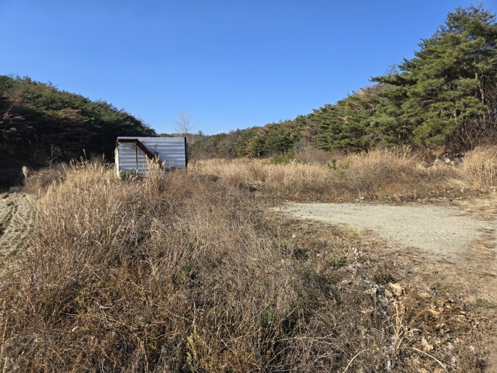 경상북도 포항시 북구 청하면 고현리 537 답 경매 사진 4
