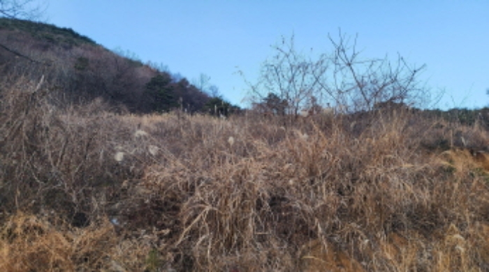 울산광역시 울주군 삼남읍 방기리 752-2 외 1필지 전 경매 사진 2
