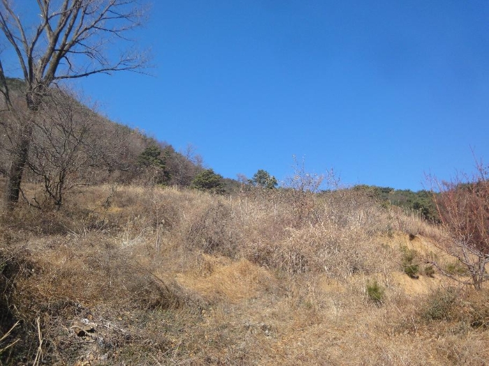 울산광역시 울주군 삼남읍 방기리 752-2 외 1필지 전 경매 사진 5