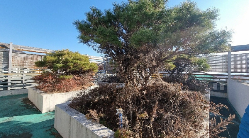 경상남도 김해시 어방동 530-7 숙박시설 경매 사진 33