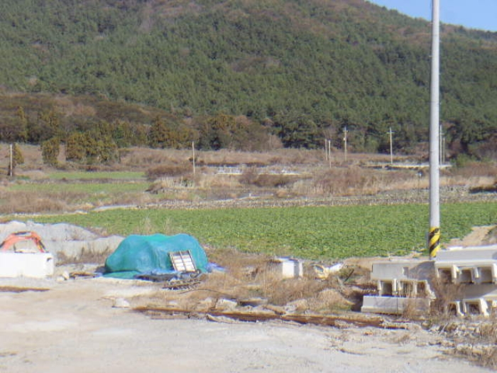 전라남도 완도군 청산면 읍리 442 전 경매 사진 1
