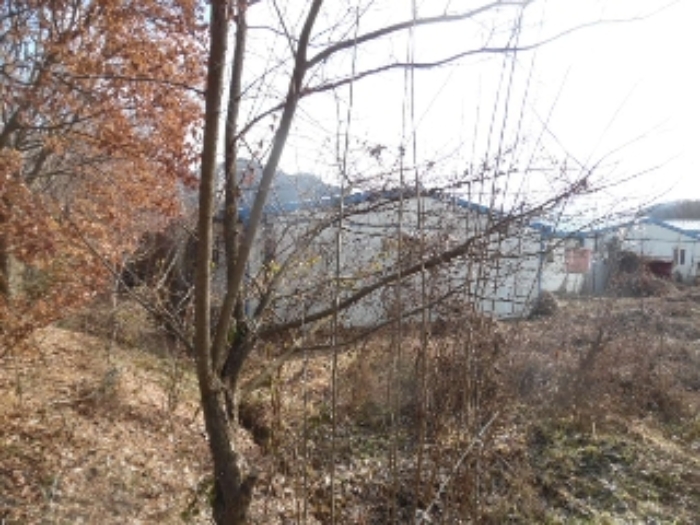 전북특별자치도 진안군 마령면 덕천리 1669 외 11필지 동물및식물관련시설 경매 사진 12
