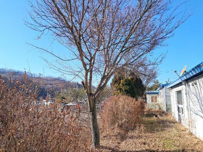 전북특별자치도 진안군 마령면 덕천리 1669 외 11필지 동물및식물관련시설 경매 사진 130