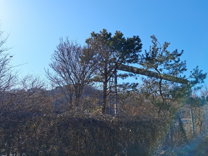 전북특별자치도 진안군 마령면 덕천리 1669 외 11필지 동물및식물관련시설 경매 사진 198