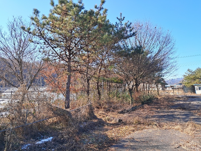 전북특별자치도 진안군 마령면 덕천리 1669 외 11필지 동물및식물관련시설 경매 사진 199