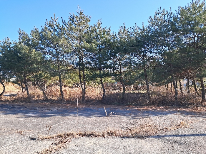 전북특별자치도 진안군 마령면 덕천리 1669 외 11필지 동물및식물관련시설 경매 사진 200