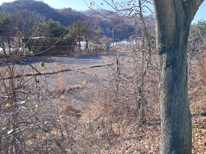 전북특별자치도 진안군 마령면 덕천리 1669 외 11필지 동물및식물관련시설 경매 사진 207