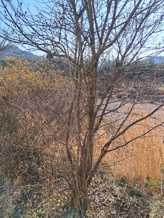 전북특별자치도 진안군 마령면 덕천리 1669 외 11필지 동물및식물관련시설 경매 사진 208