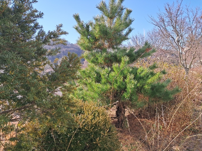 전북특별자치도 진안군 마령면 덕천리 1669 외 11필지 동물및식물관련시설 경매 사진 209