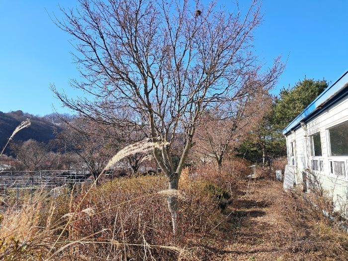 전북특별자치도 진안군 마령면 덕천리 1669 외 11필지 동물및식물관련시설 경매 사진 212
