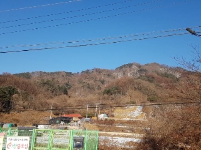 강원특별자치도 화천군 하남면 삼화리 381 전 경매 사진 7
