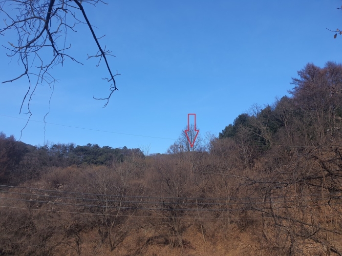 강원특별자치도 화천군 하남면 삼화리 381 전 경매 사진 8