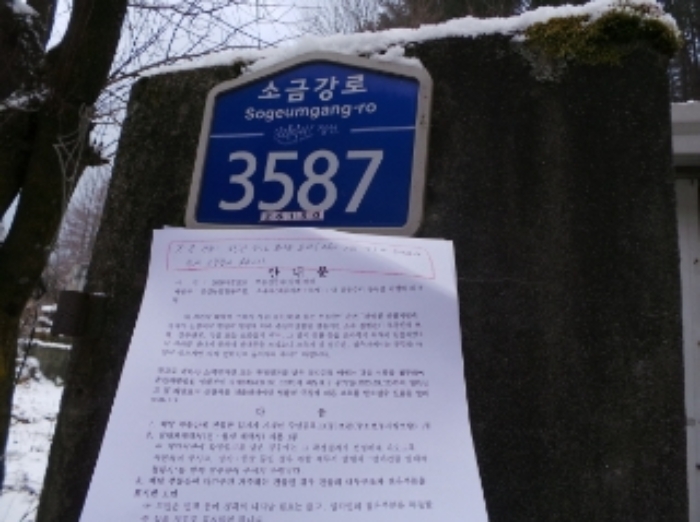 강원특별자치도 정선군 사북읍 사북리 272-4 외 3필지 전 경매 사진 7
