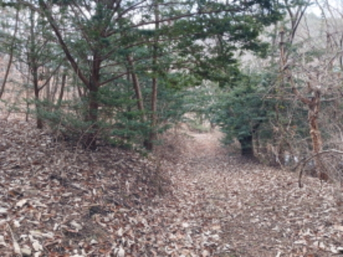 충청남도 당진시 고대면 항곡리 산39-1 외 1필지 임야 경매 사진 5