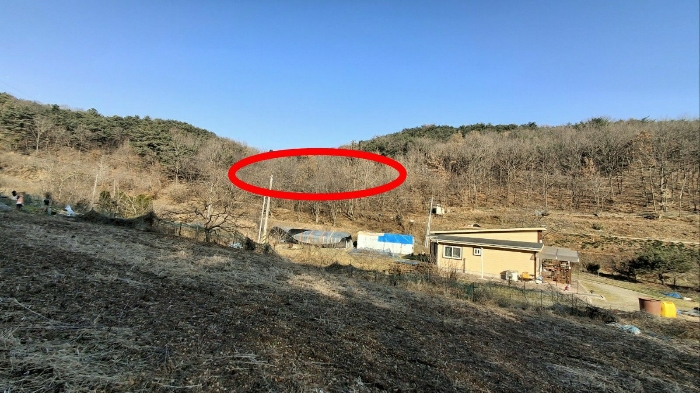 충청남도 당진시 고대면 항곡리 산39-1 외 1필지 임야 경매 사진 8