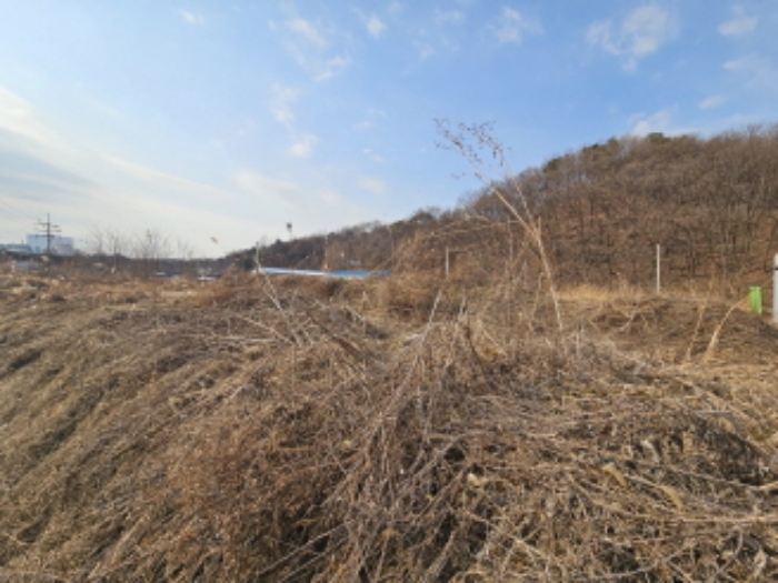 경기도 용인시 처인구 남사읍 북리 435-4 외 2필지 답 경매 사진 2