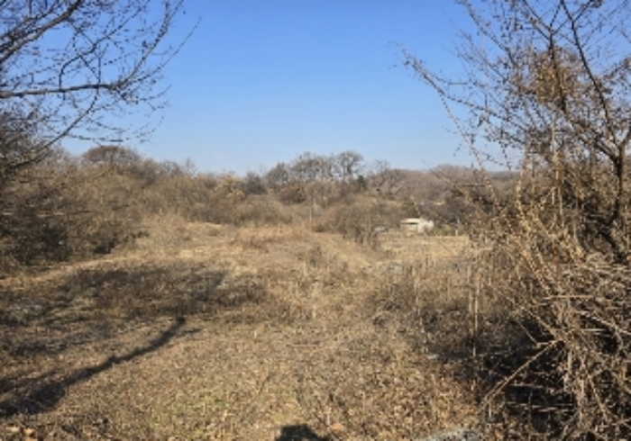 충청북도 충주시 동량면 대전리 1317-6 전 경매 사진 9